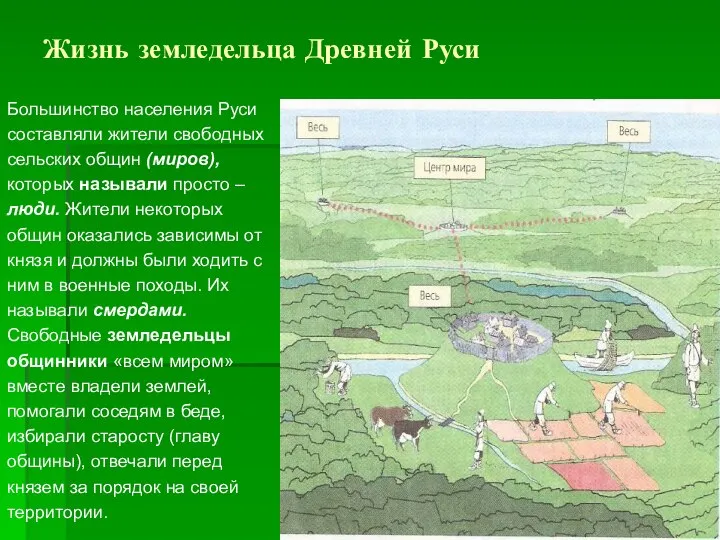 Жизнь земледельца Древней Руси Большинство населения Руси составляли жители свободных сельских общин