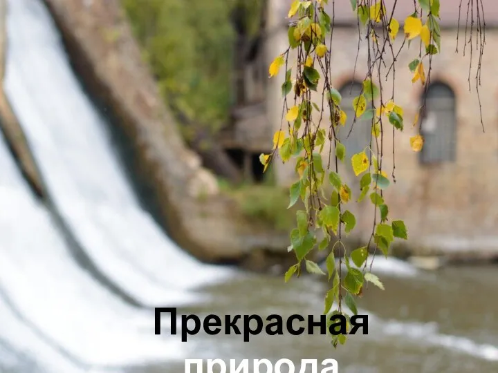 Прекрасная природа