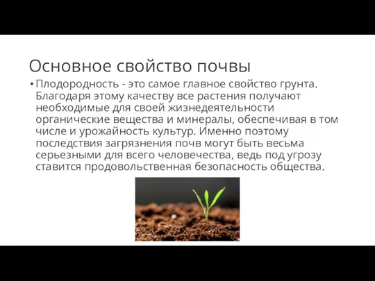 Основное свойство почвы Плодородность - это самое главное свойство грунта. Благодаря этому