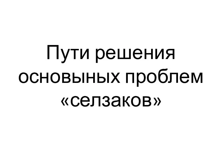 Пути решения основыных проблем «селзаков»