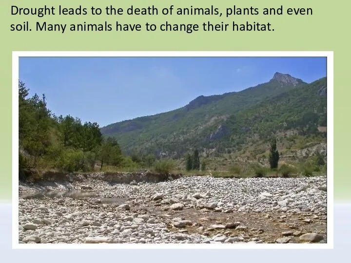 Drought leads to the death of animals, plants and even soil. Many