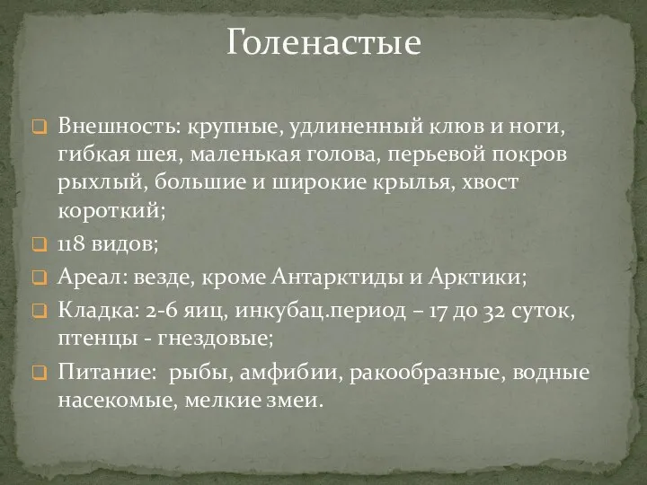 Внешность: крупные, удлиненный клюв и ноги, гибкая шея, маленькая голова, перьевой покров