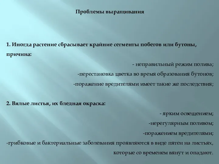 Проблемы выращивания 1. Иногда растение сбрасывает крайние сегменты побегов или бутоны, причина: