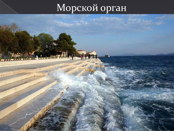 Морской орган