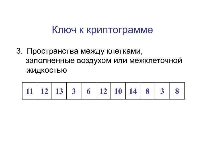 Ключ к криптограмме Пространства между клетками, заполненные воздухом или межклеточной жидкостью