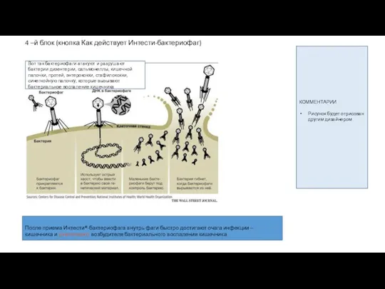 4 –й блок (кнопка Как действует Интести-бактериофаг) ДНК КОММЕНТАРИИ Рисунок будет отрисован