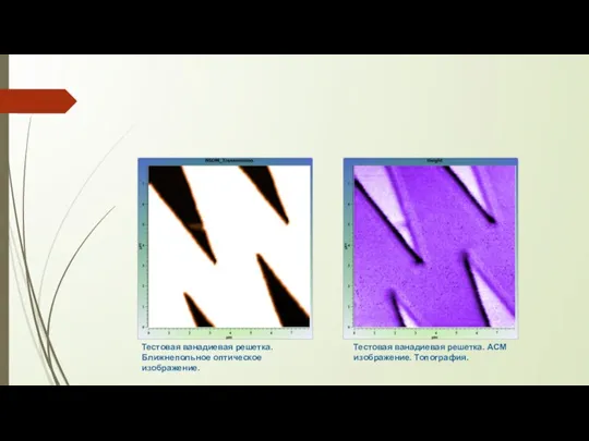 Тестовая ванадиевая решетка. Ближнепольное оптическое изображение. Тестовая ванадиевая решетка. АСМ изображение. Топография.