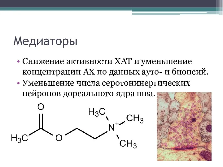 Медиаторы Снижение активности ХАТ и уменьшение концентрации АХ по данных ауто- и