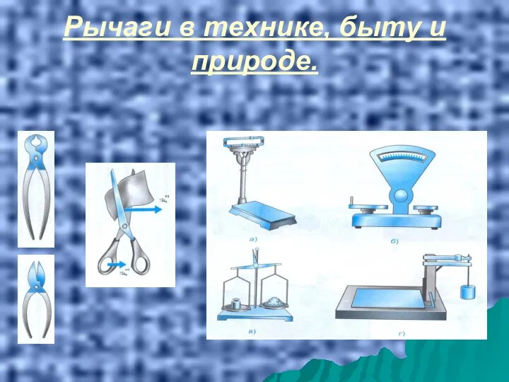 Рычаги в технике, быту и природе.