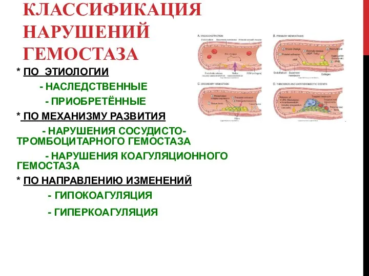 КЛАССИФИКАЦИЯ НАРУШЕНИЙ ГЕМОСТАЗА * ПО ЭТИОЛОГИИ - НАСЛЕДСТВЕННЫЕ - ПРИОБРЕТЁННЫЕ * ПО