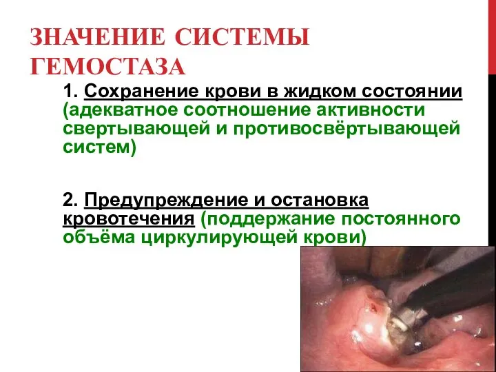 ЗНАЧЕНИЕ СИСТЕМЫ ГЕМОСТАЗА 1. Сохранение крови в жидком состоянии (адекватное соотношение активности