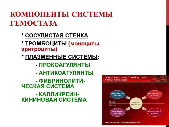 КОМПОНЕНТЫ СИСТЕМЫ ГЕМОСТАЗА * СОСУДИСТАЯ СТЕНКА * ТРОМБОЦИТЫ (моноциты, эритроциты) * ПЛАЗМЕННЫЕ