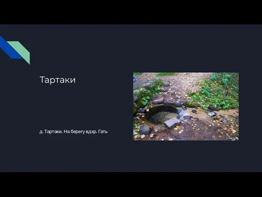 Тартаки д. Тартаки. На берегу вдхр. Гать