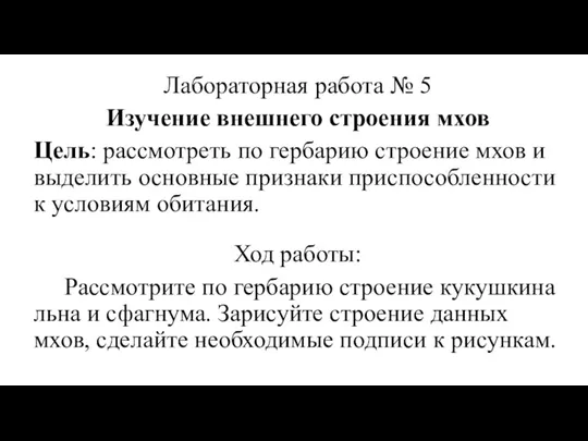 Лабораторная работа № 5 Изучение внешнего строения мхов Цель: рассмотреть по гербарию