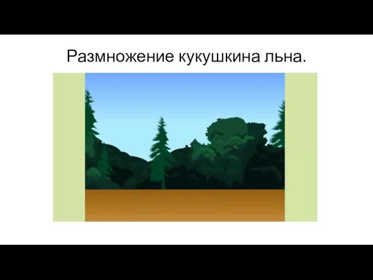 Размножение кукушкина льна.