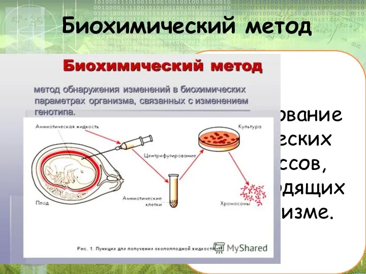 Биохимический метод Исследование химических процессов, происходящих в организме.