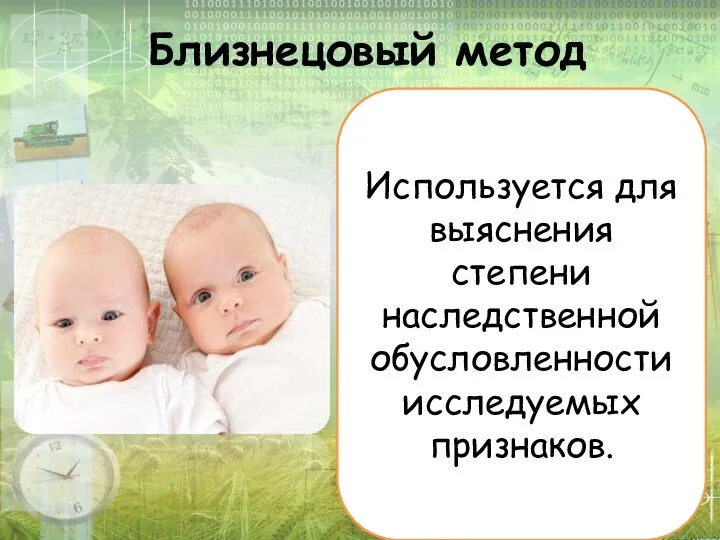 Близнецовый метод Используется для выяснения степени наследственной обусловленности исследуемых признаков.