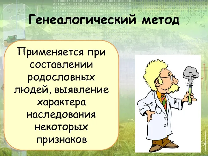 Генеалогический метод Применяется при составлении родословных людей, выявление характера наследования некоторых признаков