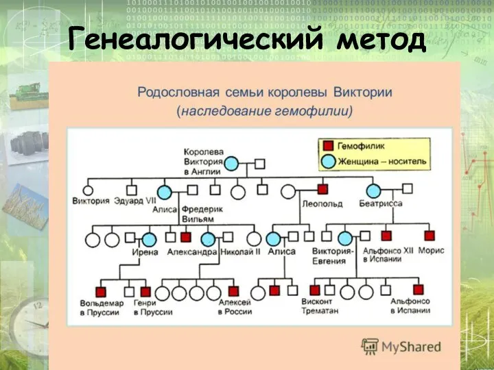 Генеалогический метод