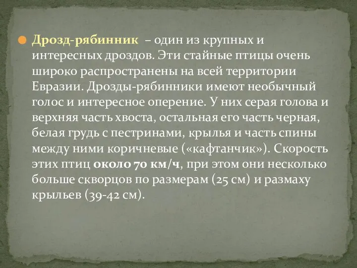 Дрозд-рябинник – один из крупных и интересных дроздов. Эти стайные птицы очень