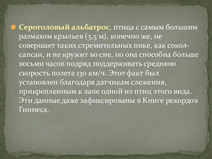 Сероголовый альбатрос, птица с самым большим размахом крыльев (3,5 м), конечно же,