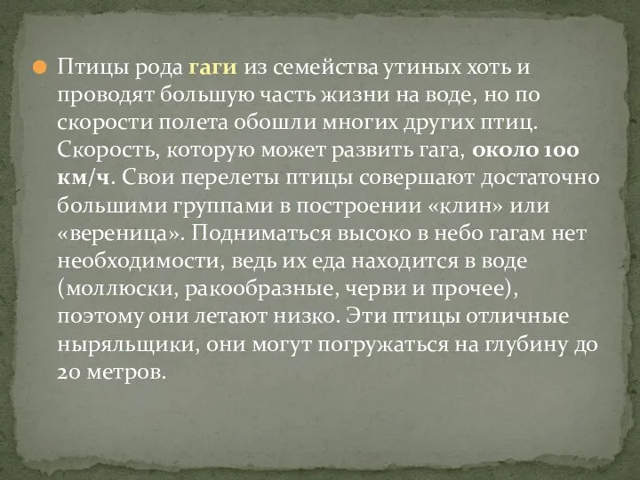 Птицы рода гаги из семейства утиных хоть и проводят большую часть жизни