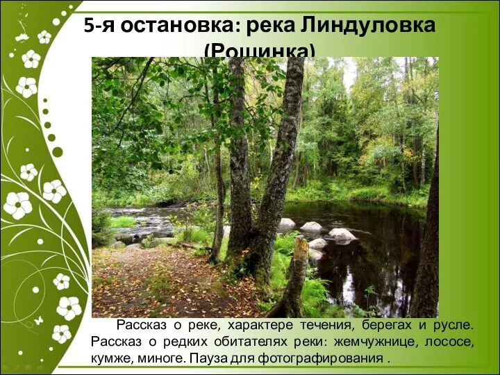 5-я остановка: река Линдуловка (Рощинка) Рассказ о реке, характере течения, берегах и