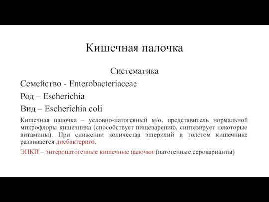 Кишечная палочка Систематика Семейство - Enterobacteriaceae Род – Escherichia Вид – Escherichia