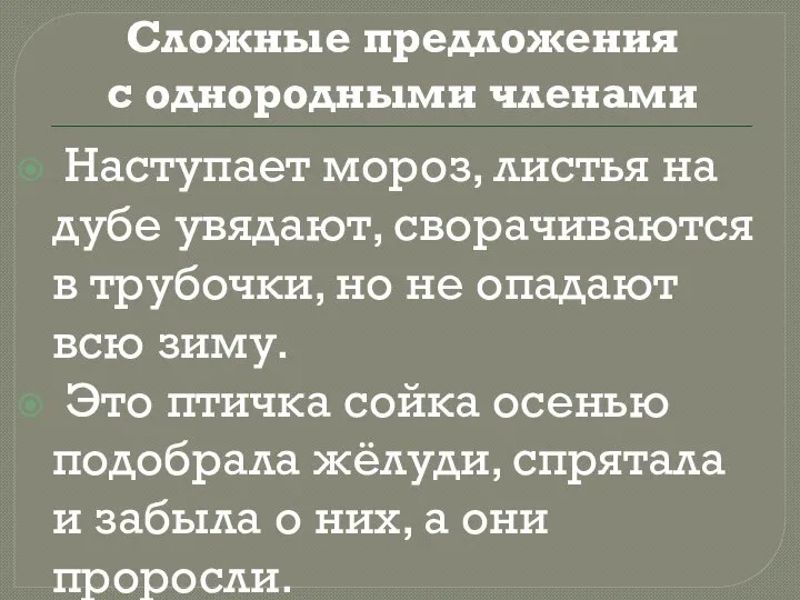 Сложные предложения с однородными членами Наступает мороз, листья на дубе увядают, сворачиваются