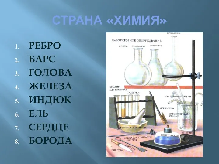 СТРАНА «ХИМИЯ» РЕБРО БАРС ГОЛОВА ЖЕЛЕЗА ИНДЮК ЕЛЬ СЕРДЦЕ БОРОДА