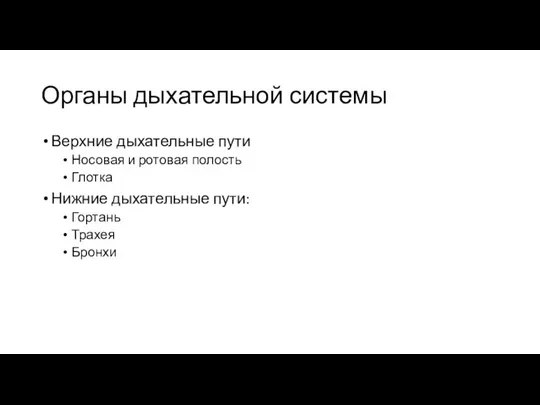 Органы дыхательной системы Верхние дыхательные пути Носовая и ротовая полость Глотка Нижние