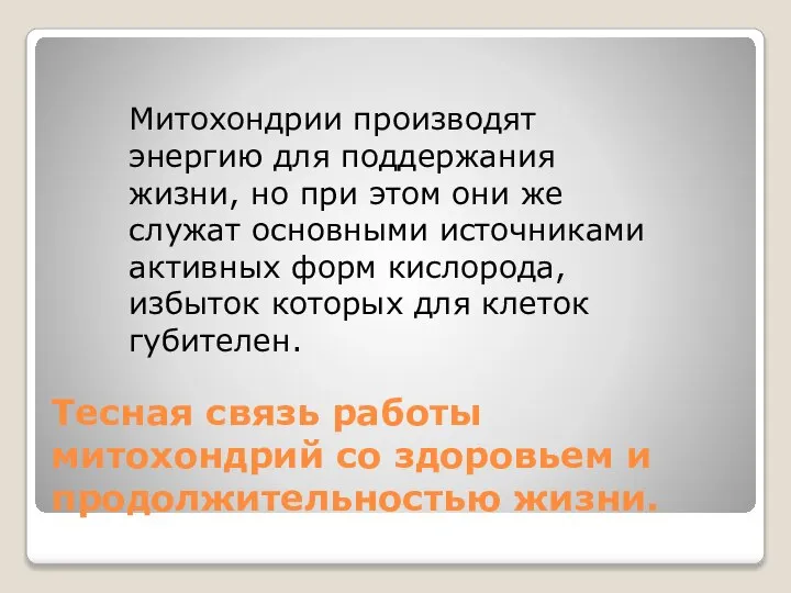 Тесная связь работы митохондрий со здоровьем и продолжительностью жизни. Митохондрии производят энергию