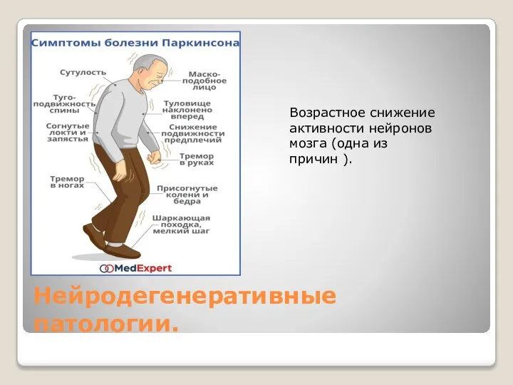 Нейродегенеративные патологии. Возрастное снижение активности нейронов мозга (одна из причин ).