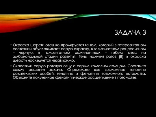 ЗАДАЧА 3 Окраска шерсти овец контролируется геном, который в гетерозиготном состоянии обуславливает