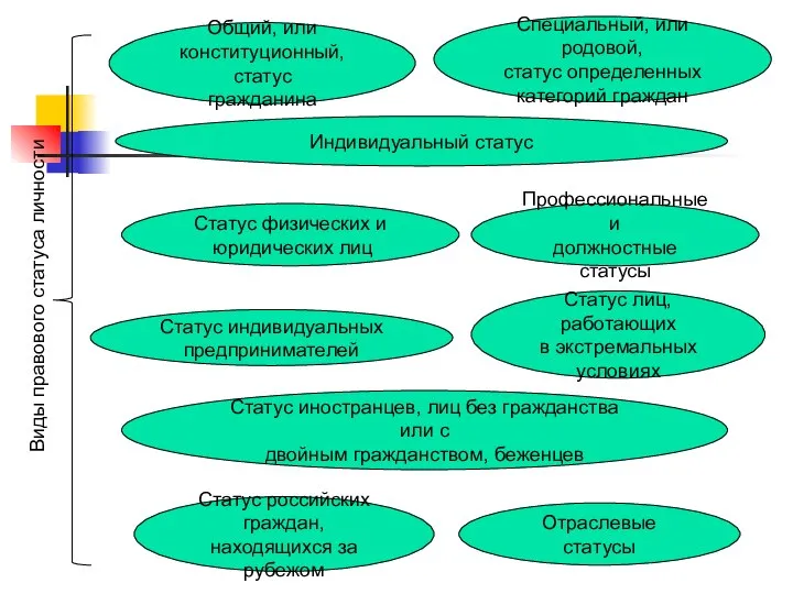 Общий, или конституционный, статус гражданина Индивидуальный статус Статус физических и юридических лиц