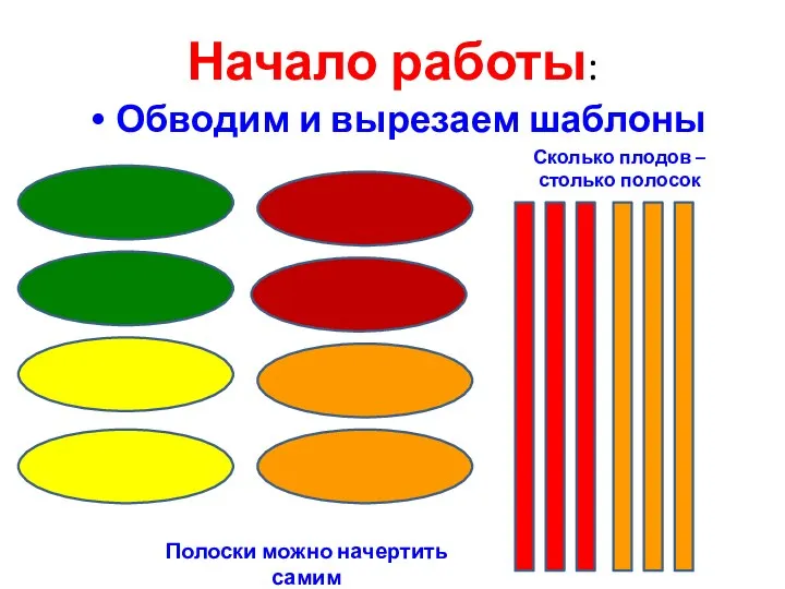 Начало работы: Обводим и вырезаем шаблоны Сколько плодов – столько полосок Полоски можно начертить самим