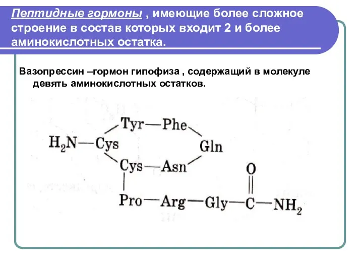 Пептидные гормоны , имеющие более сложное строение в состав которых входит 2