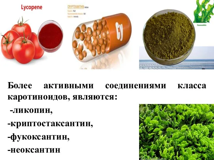 Более активными соединениями класса каротиноидов, являются: -ликопин, -криптостаксантин, -фукоксантин, -неоксантин