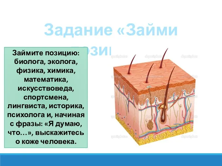 Задание «Займи позицию» Займите позицию: биолога, эколога, физика, химика, математика, искусствоведа, спортсмена,