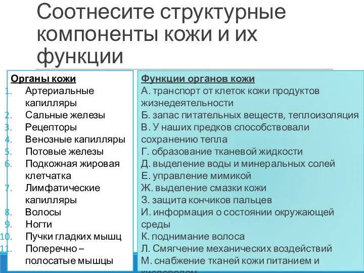 Соотнесите структурные компоненты кожи и их функции Органы кожи Артериальные капилляры Сальные