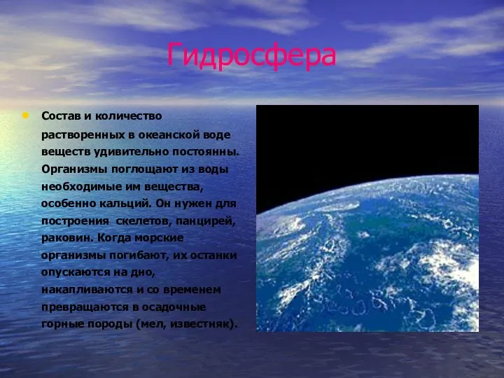 Гидросфера Состав и количество растворенных в океанской воде веществ удивительно постоянны. Организмы