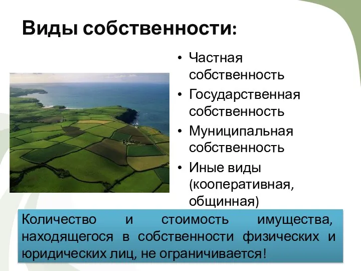 Виды собственности: Частная собственность Государственная собственность Муниципальная собственность Иные виды (кооперативная, общинная)