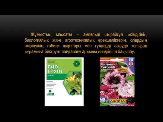 Жұмыстың мақсаты – ампельді шырайгүл өсімдігінің биологиялық және агротехникалық ерекшеліктерін, олардың өсірілуінің