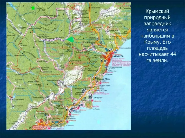 Крымский природный заповедник является наибольшим в Крыму. Его площадь насчитывает 44 га земли.