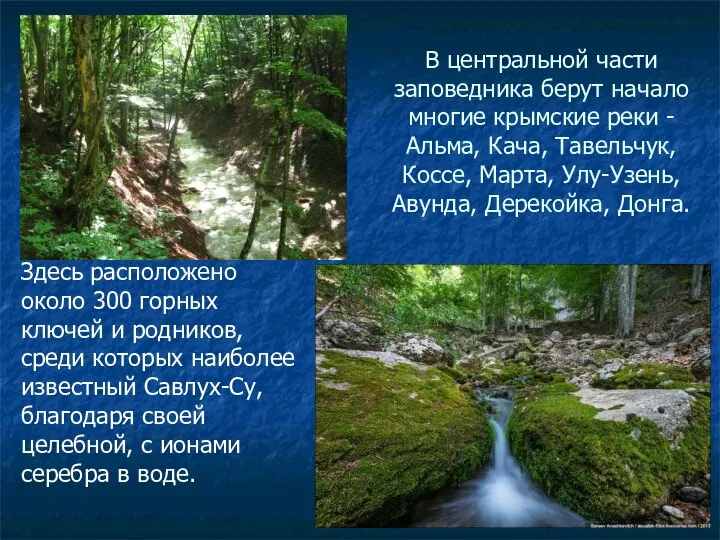 В центральной части заповедника берут начало многие крымские реки - Альма, Кача,