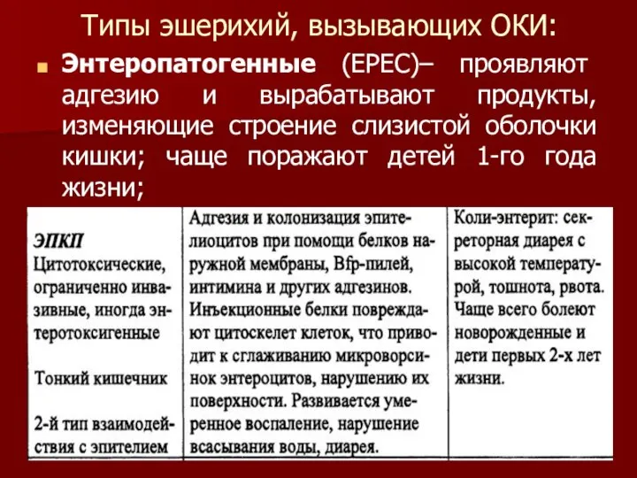 Типы эшерихий, вызывающих ОКИ: Энтеропатогенные (EPEC)– проявляют адгезию и вырабатывают продукты, изменяющие