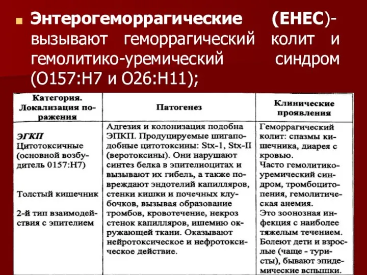 Энтерогеморрагические (ЕНЕС)- вызывают геморрагический колит и гемолитико-уремический синдром (О157:Н7 и О26:Н11);