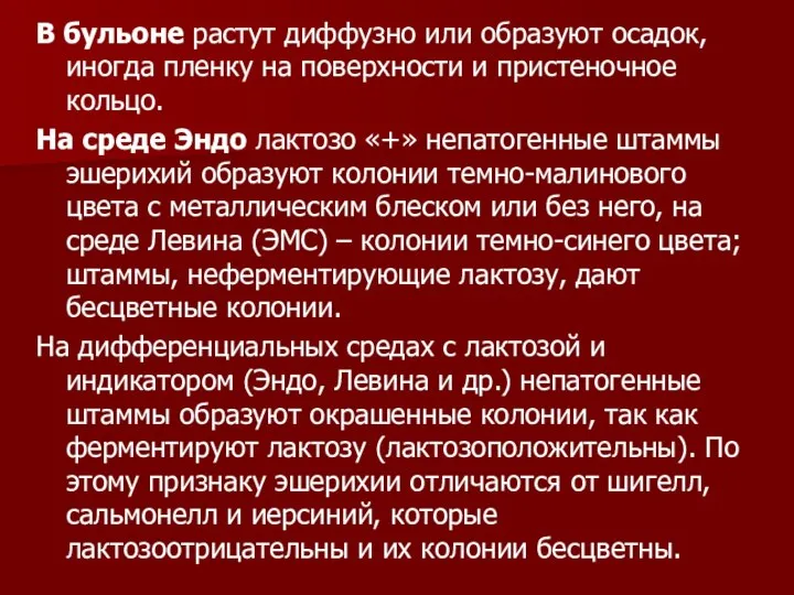 В бульоне растут диффузно или образуют осадок, иногда пленку на поверхности и