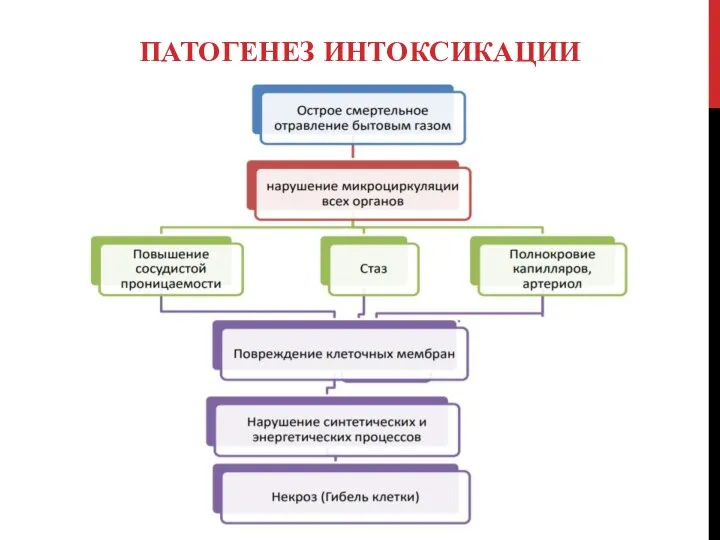 ПАТОГЕНЕЗ ИНТОКСИКАЦИИ