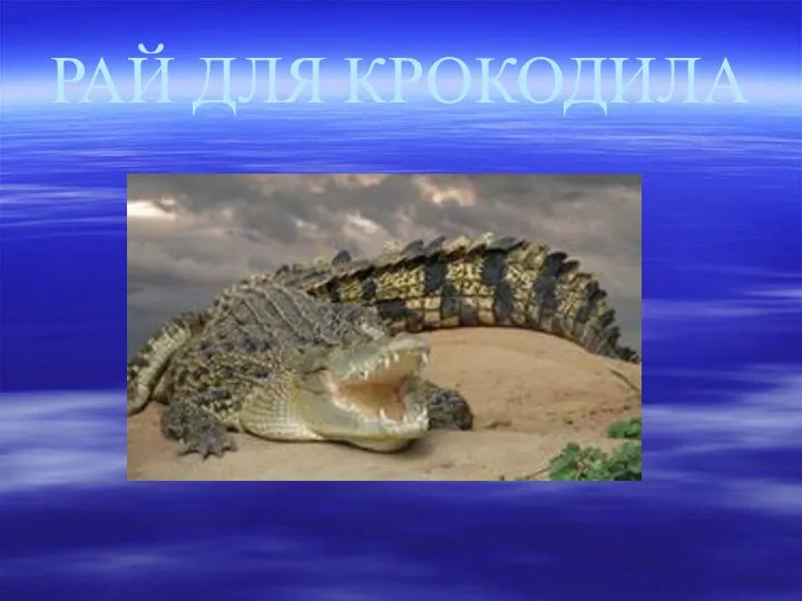 РАЙ ДЛЯ КРОКОДИЛА